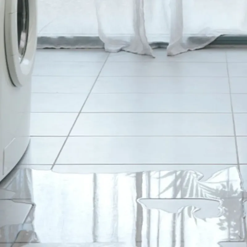 Appliance Leak Cleanup in Albany, GA