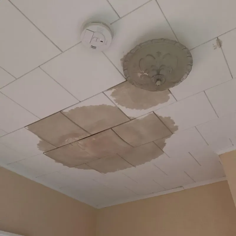 Ceiling Water Damage Repair in Albany, GA